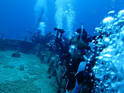 February 8, 2012<br>Watching the sharks feed.