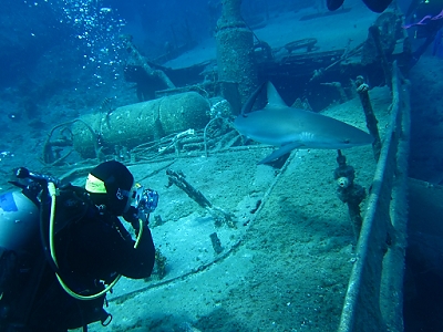 February 8, 2012<br>Connie with a shark.