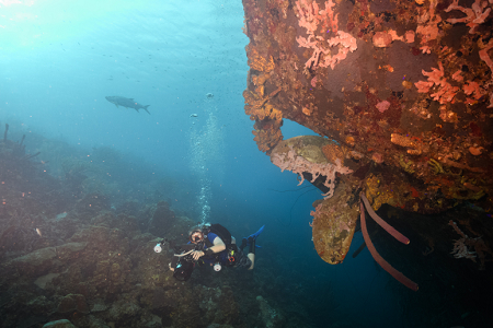 6/12/2022<br>Buddy diver at the wreck of the Hilma Hooker.