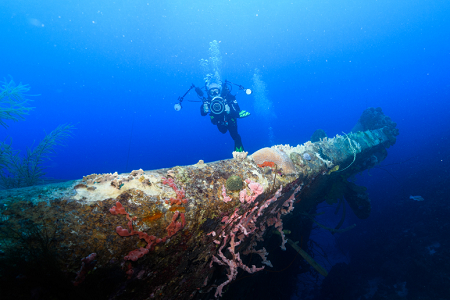 6/12/2022<br>Buddy diver at the wreck of the Hilma Hooker.