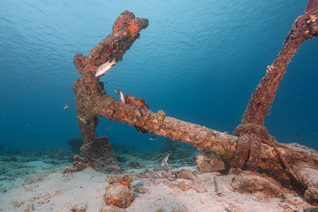 6/12/2022<br>Practicing strobe placement on the house reef at the Anchor.