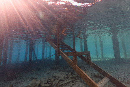 6/15/2022<br>How one gets in and out for a shore dive at the house reef of the Divi Flamingo resort.