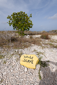 6/18/2022<br>Bonaire paints rocks instead of using signs.  The short dive sites are labeled like this one, which is next to the white slave huts, hence the name.