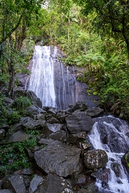 El Yunque National Fores<br>December 7, 2015