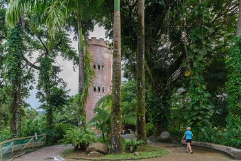 El Yunque National Fores<br>December 7, 2015