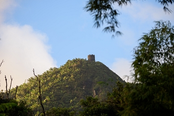 El Yunque National Fores<br>December 7, 2015