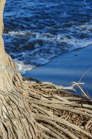 Palmas Del Mar, Puerto Rico<br>December 8, 2015