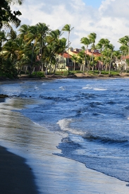 Palmas Del Mar, Puerto Rico<br>December 8, 2015