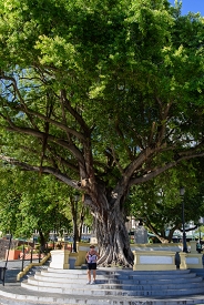 San Juan, Puerto Rico<br>December 9, 2015