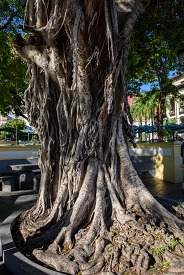 San Juan, Puerto Rico<br>December 9, 2015