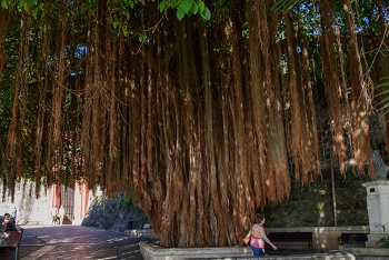 San Juan, Puerto Rico<br>December 9, 2015