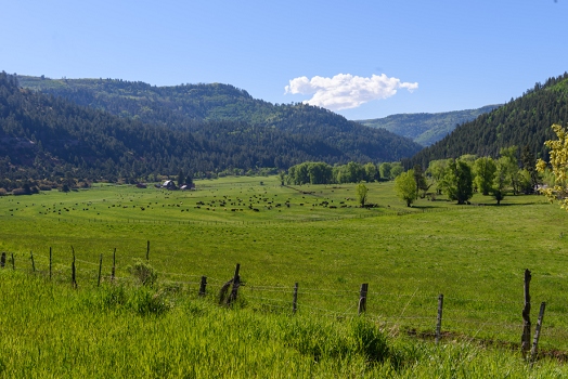 Near Dolores, Colorado<br>June 1, 2016