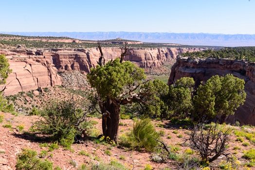 Colorado National Monument<br>June 5, 2016