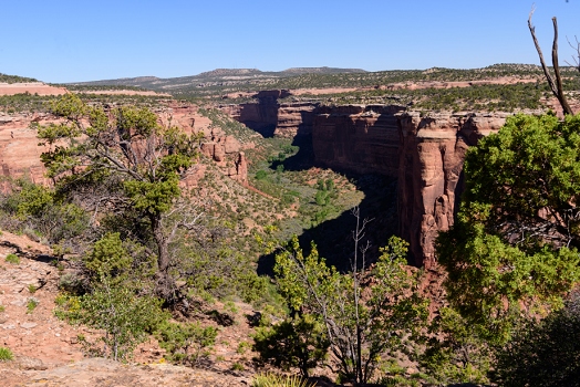 Colorado National Monument<br>June 5, 2016