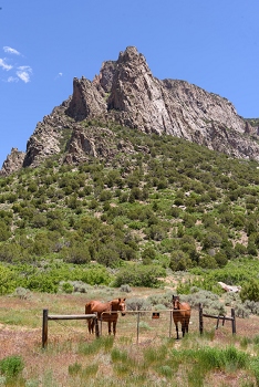 Unaweep Canyon<br>June 5, 2016