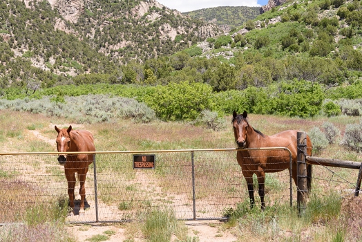 Unaweep Canyon<br>June 5, 2016