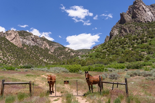 Unaweep Canyon<br>June 5, 2016