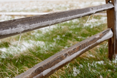 It was so windy the icicles couldn't form straight down.<br>April 25, 2017