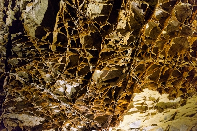 99% of the world's Boxwork formations, like this one, are in Wind Cave.<br>April 27, 2017