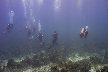 June 16, 2018<br>Diving near Negril, Jamaica