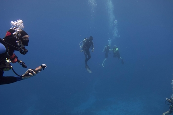 June 20, 2018<br>Group Doing 3-Minute Safety Stop at 15 Feet