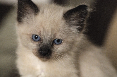 July 8 - Desmond settles in.