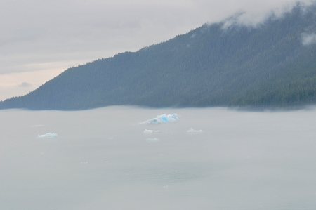 Tracey Arm, Alaska, 2009.  I'm still trying to figure out how to process the fog in the images...