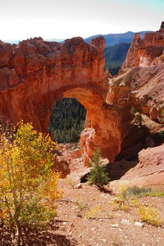 At Bryce Canyon in 2010, my wife and I happened to take pictures of nearly the same scene with three different lenses.  I thought it might be useful as a quick comparison test.  <br><br>1. My wife Connie's version, using her D80 and 18-200vr.  <br><br>AF VR Zoom 18-200mm f/3.5-5.6G IF-ED,  Aperture: F6.3,<br>NIKON D80, shutter speed 1/160, focal length 18mm<br>ISO 100<br>