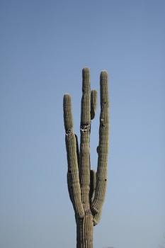 NIKON D700, 1/6400, F2.8<br><br>Series of shots looking at sky vignetting at different apertures.