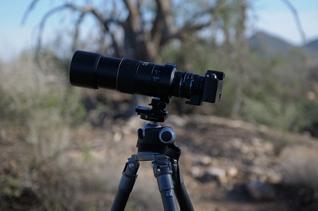 February 8, 2013<br>The Nikon V1 attached to a 300F4 lens with 1.4x teleconvert.  BH-55 ballhead, Gitzo 3550 tripod.  I also use the Nikon ML-L3 wireless remote release.<br>