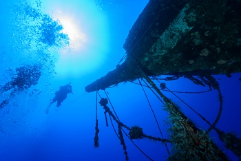 July 16, 2018<br>Looking back at other divers descending to the wreck.