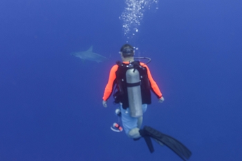 July 17, 2018<br>At the very end of a 45-minute dive, while doing the 3-minute safety stop, we saw our first (and only) hammerheads.  I got only 2 pics where a shark is recognizable.  Luck of the draw that I was too far away.