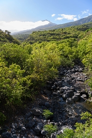 July 19, 2018<br>Beautiful views of upcountry on the south side of Maui.