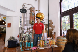 March 11, 2020<br>Touring a tequila factory.