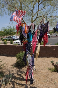 Bandanas let in memoriam wave from a small tree at the accident site. A larger tree was completely covered by other bandanas. 