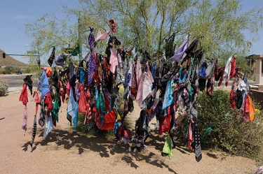 Bandanas left in memoriam at the March 25, 2010 accident site at Carefree Highway and 27th drive. After seven weeks, this tree was filled, and a second smaller tree as well. The bandanas were mostly removed in late June. <br><br>The bandanas were made into quilts and given to the victims' families.