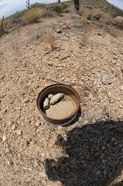 OK, we all know bears shit in the woods.  But what kind of creature in Arizona dumps in a can in the desert?