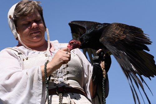 March 31, 2019<br>A Turkey Vulture