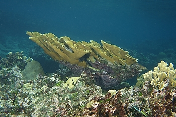 <br>September 26, 2015