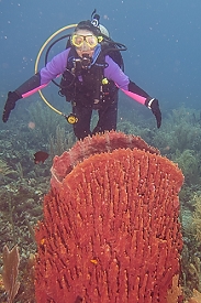 Connie finds a big sponge<br>September 27, 2015