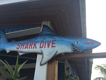 Leslie, Dan, Carol, Mel and RaeAnn went on a shark dive!<br>September 29, 2015