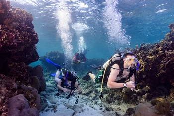 Matt and Kalyn Spitler diving in Roatan.<br>September 25, 2016