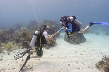 Is Matt proposing to Kalyn underwater?  (Or swapping cameras.)<br>September 29, 2016