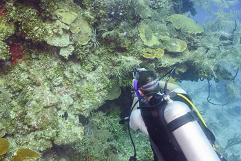 Matt photographing a king crab.<br>September 29, 2016