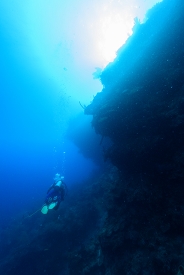 David diving the wall in Roatan<br>September 26, 2017