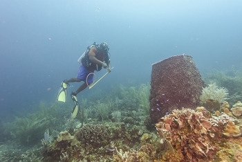 David and Giant Barrel Sponge<br>October 2, 2017