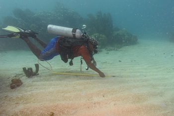 David looking at something, probably a Pipefish<br>October 2, 2017