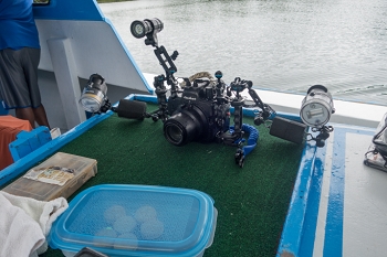 My camera rig aboard the Henry Morgan<br>October 7, 2017