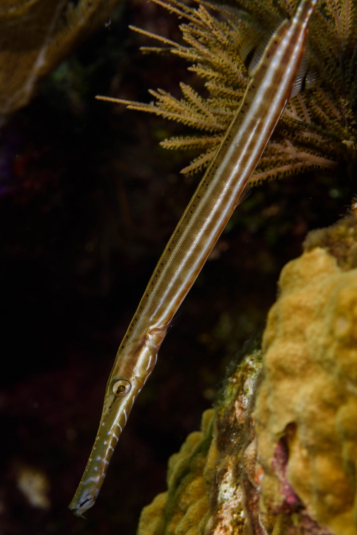 180925d-111357-24-D810.jpg