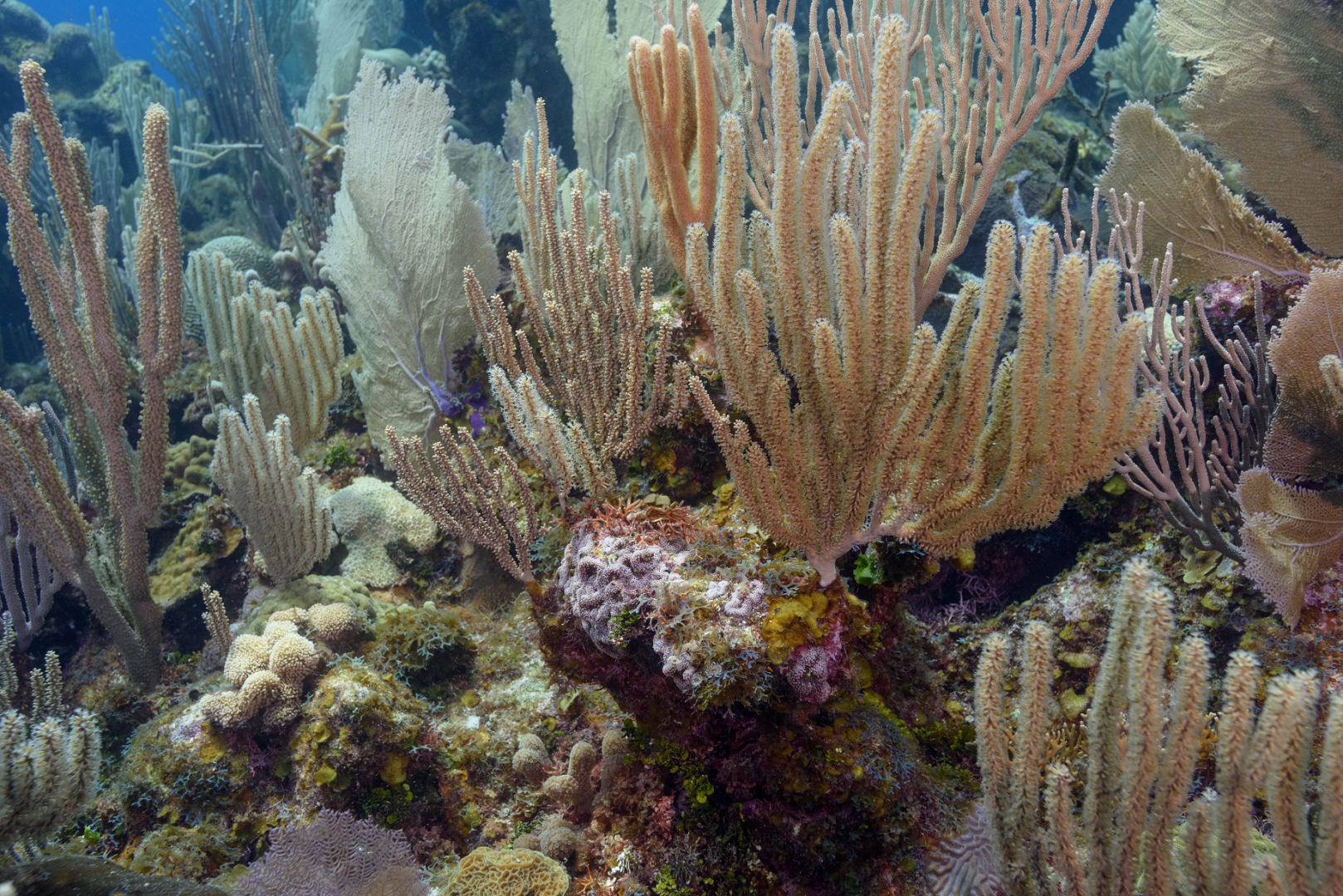 181001-105642-56-D810.jpg